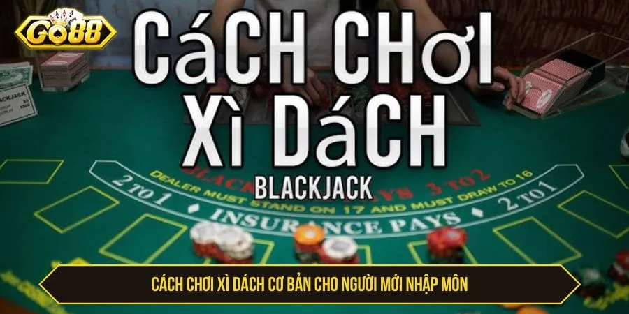 Cách Chơi Xì Dách Với Luật Và Mẹo Chơi Thắng Tuyệt Đối Cách chơi xì dách cơ bản cho người mới nhập môn